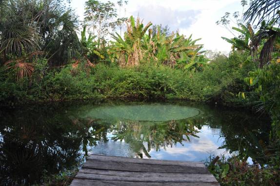 O fervedouro Alecrim, em São Félix do Tocantins, região do Jalapão - TO